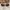 Fossil glasses  photo 1