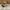 Fossil glasses  photo 4