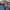 Apple Bottom bootcut jeans photo 8