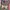 Casual Kids pink gray photo 1