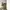 2000’s green olive amekaji style’s baggy pants photo 1