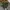 2000’s green olive amekaji style’s baggy pants photo 7