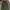 2000’s green olive amekaji style’s baggy pants photo 8