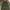 2000’s green olive amekaji style’s baggy pants photo 6