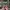 LOUIS VUITTON TRAINERS WHITE RED SNEAKERS , LOUIS VUITTON WH photo 4