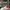 LOUIS VUITTON TRAINERS WHITE RED SNEAKERS , LOUIS VUITTON WH photo 1