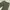 Uniqlo Streetwear Casual Sweatpants & Joggers Pria green photo 2