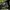 Topi New Era 9FORTY Seattle Seahawks Super Bowl XLVIII Champ photo 6