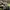 Topi New Era 9FORTY Seattle Seahawks Super Bowl XLVIII Champ photo 3