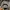 Topi New Era 9FORTY Seattle Seahawks Super Bowl XLVIII Champ photo 4