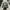 Topi New Era 9FORTY Seattle Seahawks Super Bowl XLVIII Champ photo 2