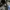 Topi New Era 9FORTY Seattle Seahawks Super Bowl XLVIII Champ photo 9