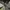 Topi New Era 9FORTY Seattle Seahawks Super Bowl XLVIII Champ photo 7