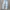 Unknown Blue Jeans Soft Ripped  photo 5