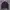 Jaket Berghaus Primaloft  photo 6