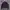 Jaket Berghaus Primaloft  photo 1