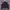 Jaket Berghaus Primaloft 