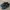 Mizuno Black Shoes 41 photo 3