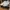 Converse White photo 1