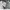 Black White Nike Panda 42 photo 4