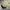 y2k Distresed Studed Cadethat Bling photo 6