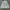 Denim & Supply Ralph Lauren Chore Jacket / Coverall photo 1