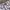Rok mini hysteric glamour full print  uk 28-29 photo 4