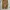 Loose Pants Veterano photo 7