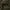 The North Face Gorpcore Parka Pria khaki photo 2