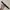 cotton belt black photo 3