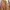 Mango Genuine Leather Jacket