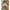 Timbre Arctic Jacket Beige photo 4