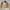 Timbre Arctic Jacket Beige photo 2
