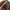 Back Number Vintage Streetwear Bomber jacket Pria brown photo 3