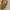 COACH Poppy Vintage Bag Shoulder Ketek Hobo Coc Bukan Kate s photo 6