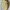 COACH Poppy Vintage Bag Shoulder Ketek Hobo Coc Bukan Kate s photo 5