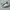 Adidas Casual Casual shoe Pria white gray photo 1