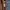 Vtg Coach Handcraft  photo 4