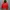 Tracktop hoodie Nike Canada  photo 2