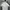 Tracktop  short sleeved vntg adidas  photo 6