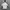 Tracktop  short sleeved vntg adidas  photo 1