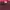 Maroon Striped Eyeful Top photo 4