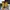 Timberland icon yellow photo 2