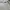 Adidas Track jacket Pria cream gray photo 5