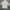Adidas Track jacket Pria cream gray photo 2