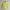Nike Streetwear Casual Hoody Pria green yellow photo 1