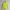 Nike Streetwear Casual Hoody Pria Green Yellow