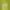 Nike Streetwear Casual Hoody Pria green yellow photo 2