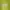 Nike Streetwear Casual Hoody Pria Green Yellow