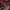 Vintage oakley ransel camping backpacks photo 6